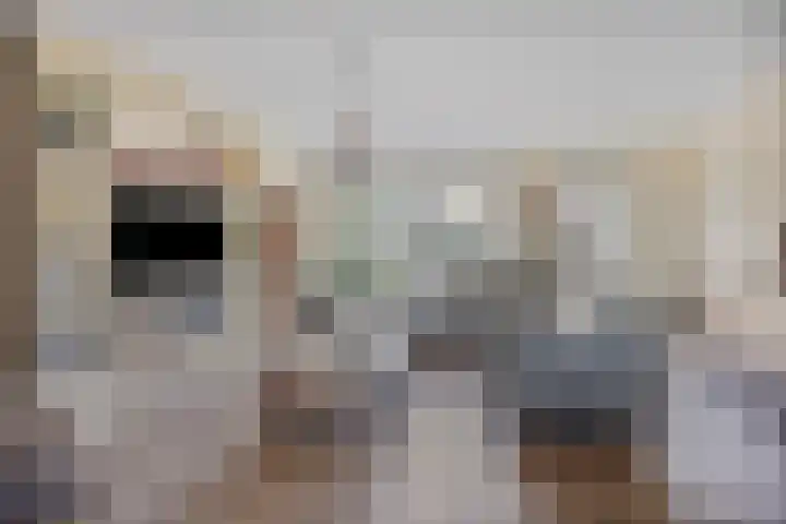 Ds. de Geusstraat 17 Almelo thumbnail 4