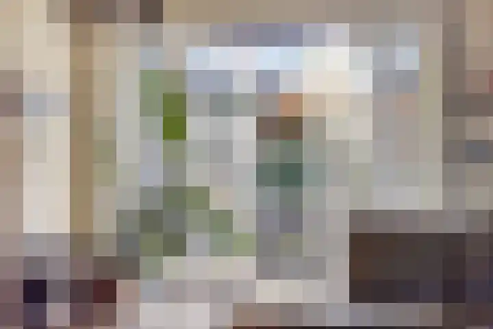 Ds. de Geusstraat 17 Almelo thumbnail 7