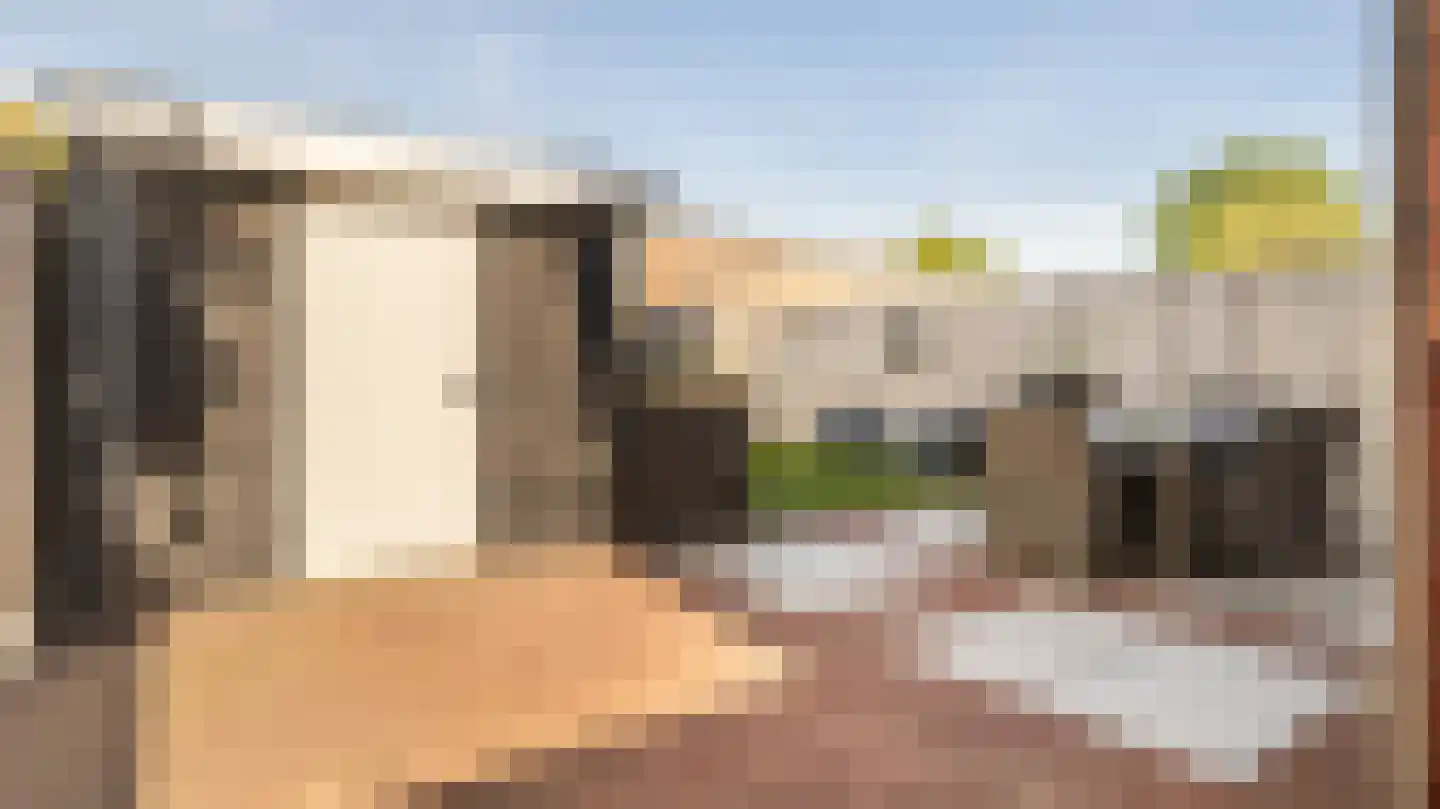 Ds. de Geusstraat 25 a Almelo thumbnail 32