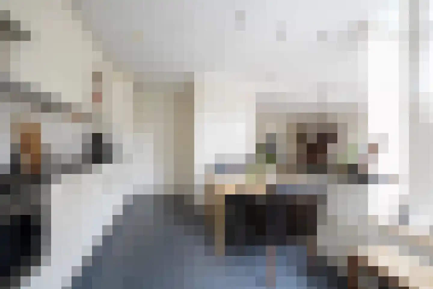 Ds de Jagerstraat 14 Putten thumbnail 22