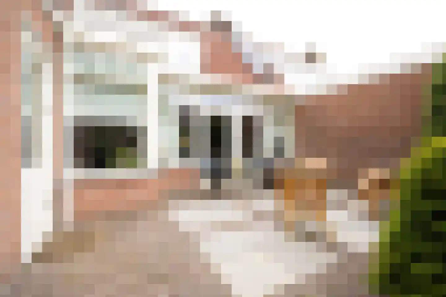 Ds de Jagerstraat 14 Putten thumbnail 26