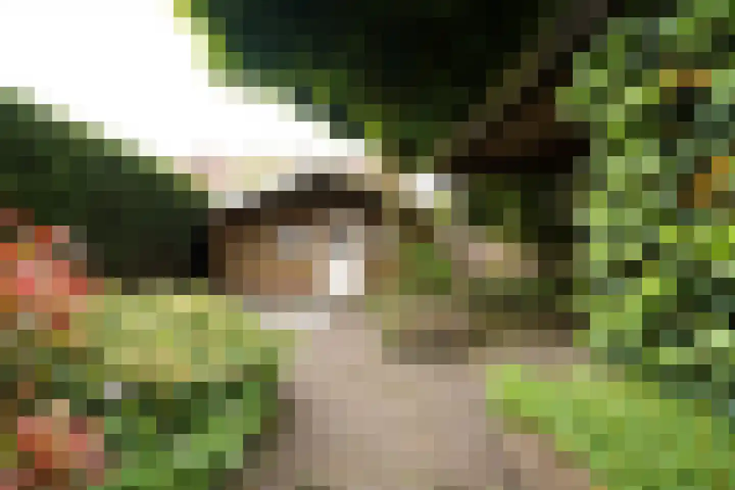 Ds de Jagerstraat 14 Putten thumbnail 32