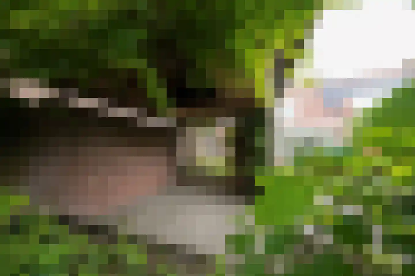 Ds de Jagerstraat 14 Putten thumbnail 33