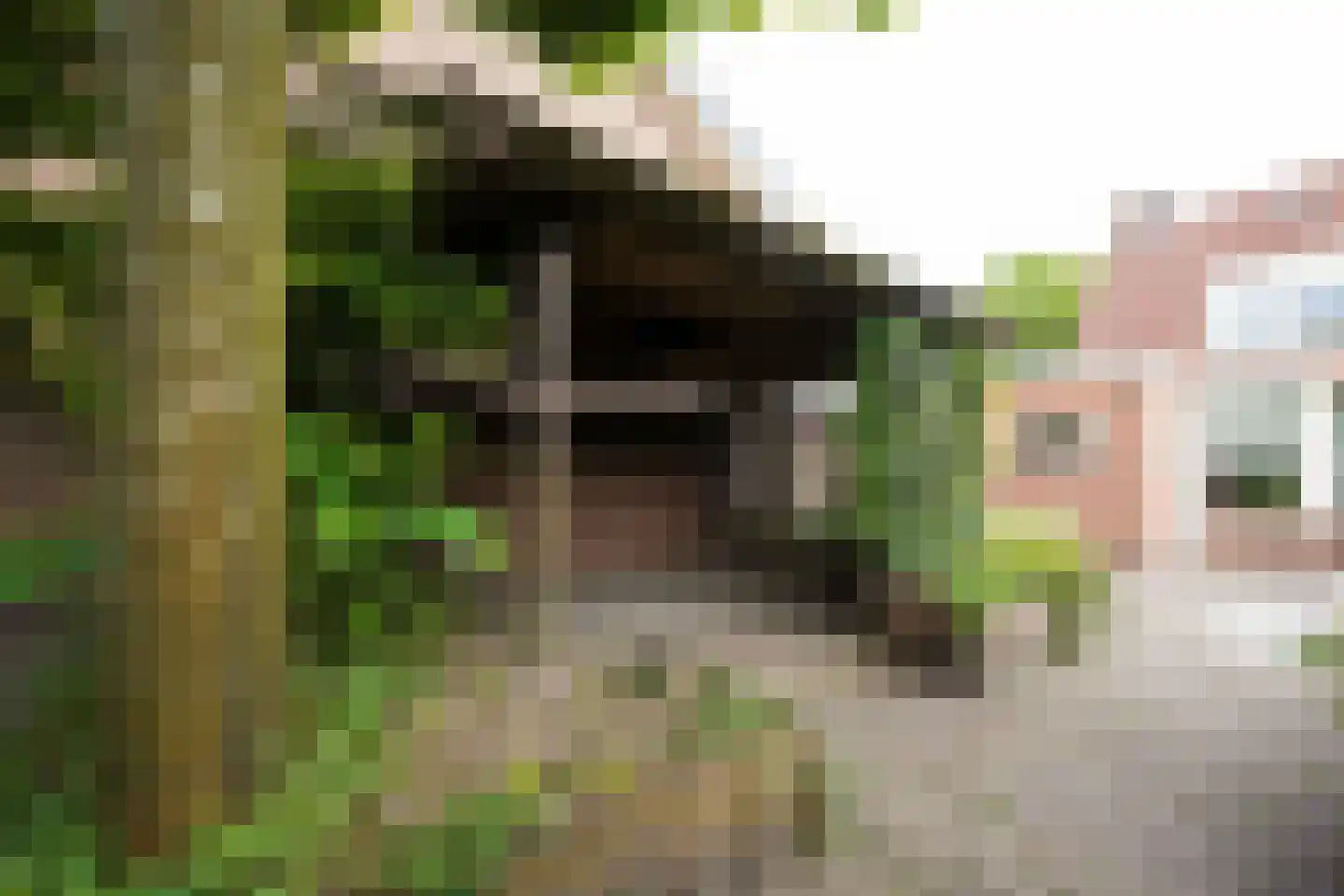 Ds de Jagerstraat 14 Putten thumbnail 34