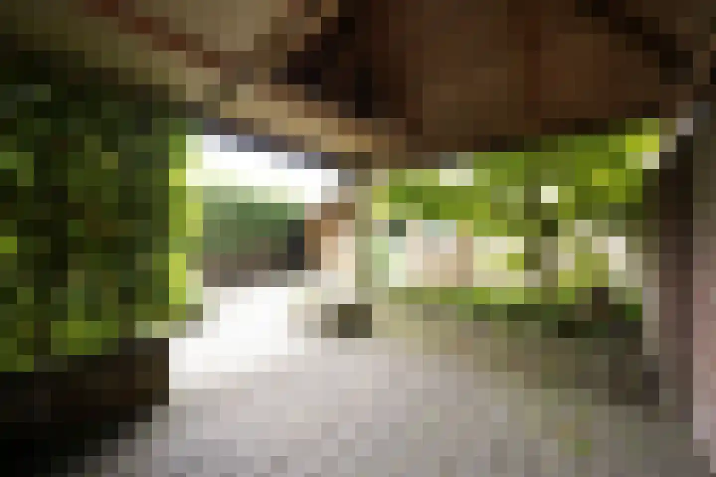 Ds de Jagerstraat 14 Putten thumbnail 36