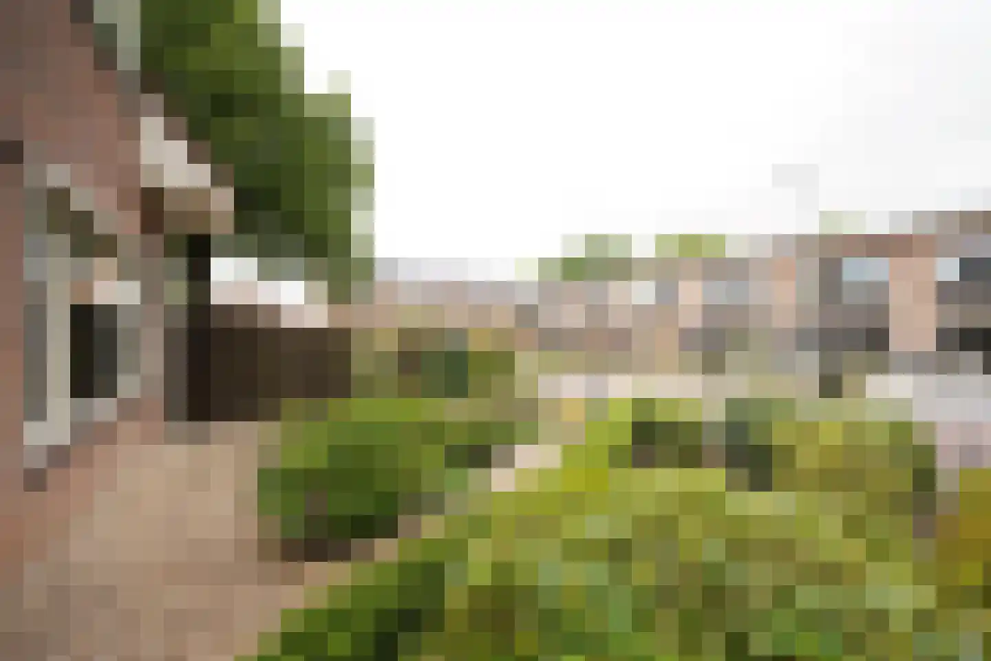 Ds de Jagerstraat 14 Putten thumbnail 52
