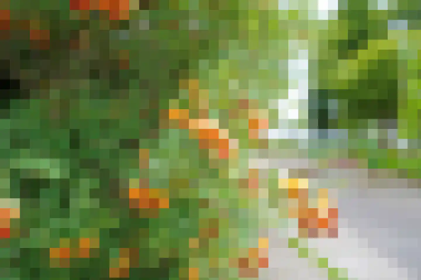 Ds de Jagerstraat 14 Putten thumbnail 56