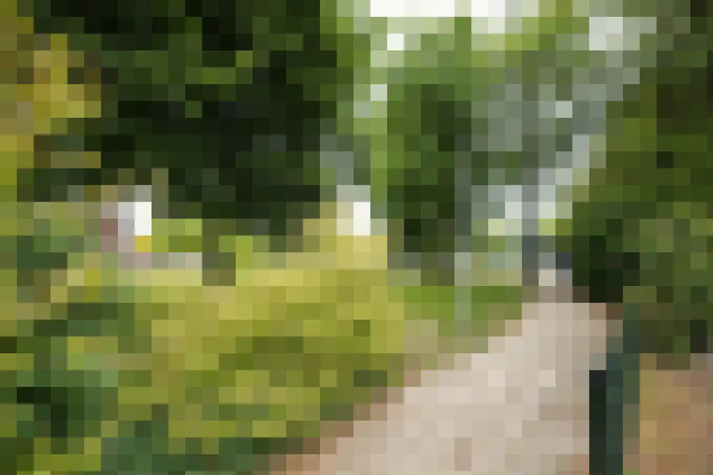 Ds de Jagerstraat 14 Putten thumbnail 58