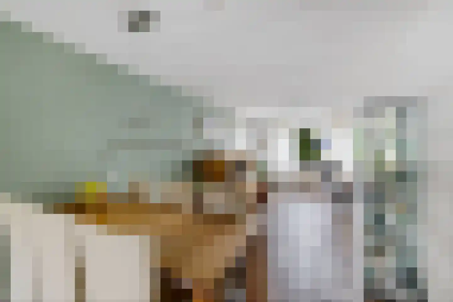 Ds Dijkstraweg 14 Hitzum thumbnail 11