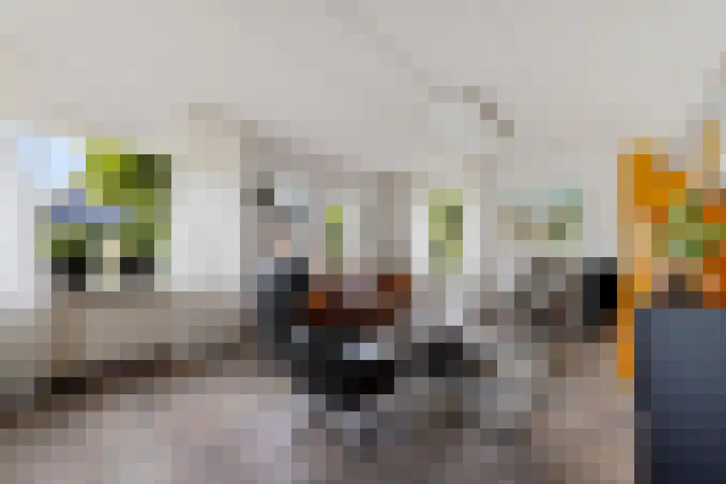 Ds Dijkstraweg 14 Hitzum thumbnail 14