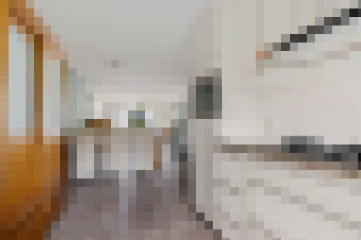 Ds Dijkstraweg 14 Hitzum thumbnail 16