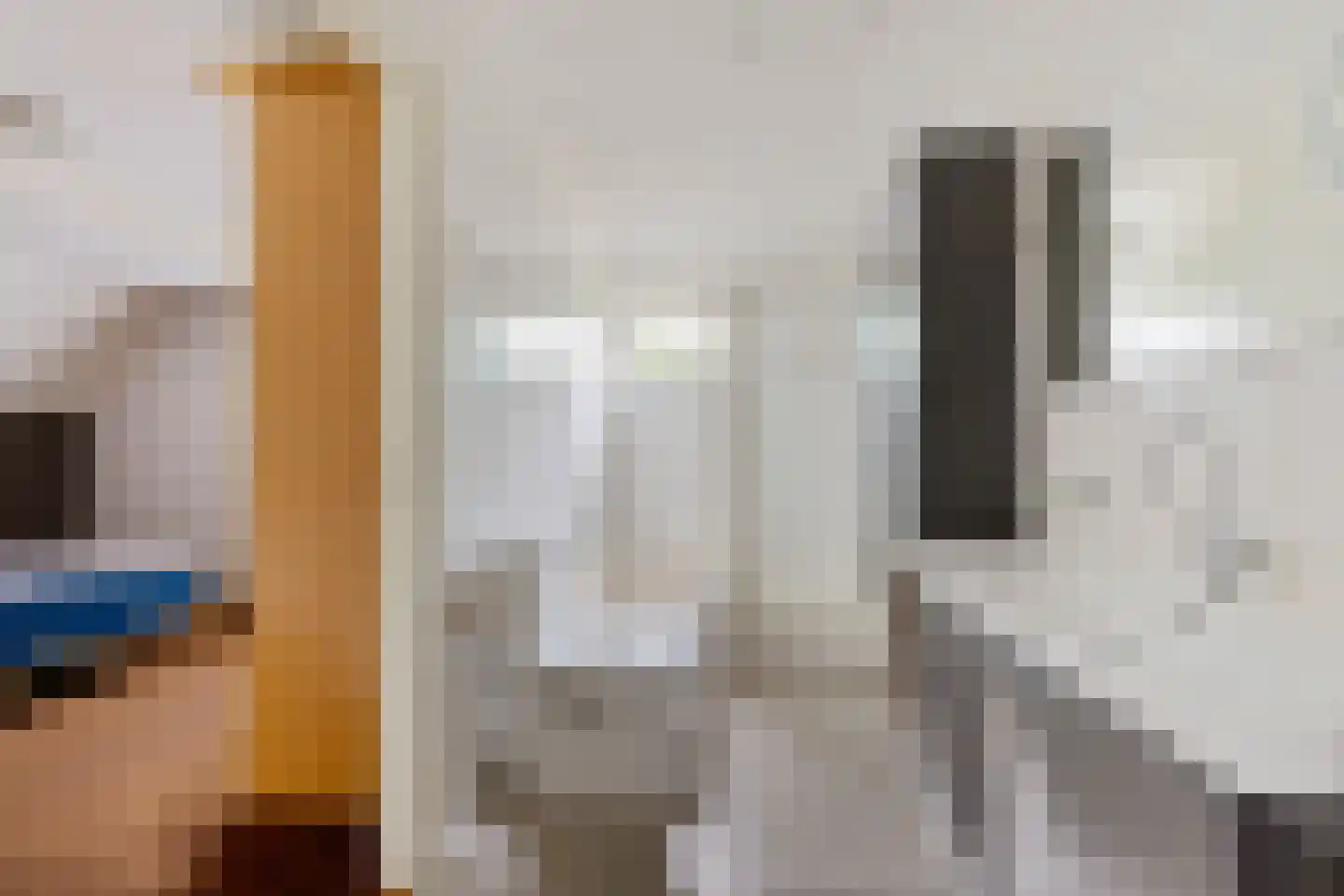 Ds Dijkstraweg 14 Hitzum thumbnail 20