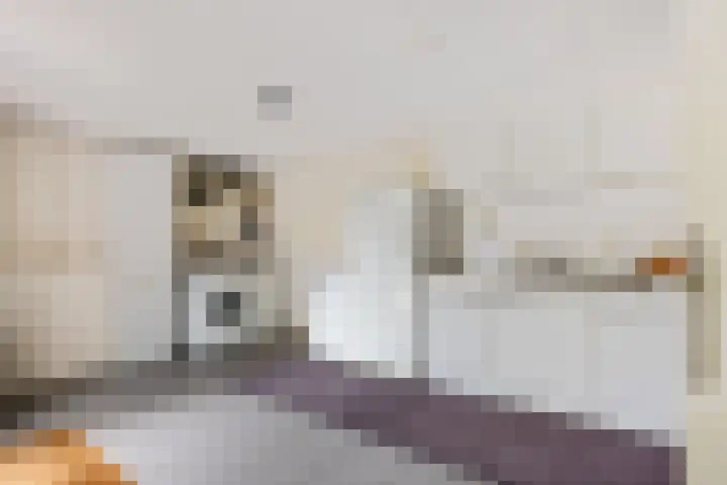 Ds Dijkstraweg 14 Hitzum thumbnail 23