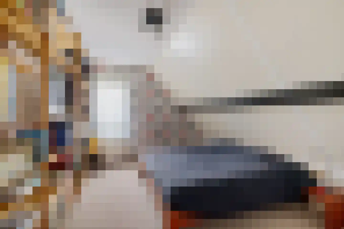 Ds Dijkstraweg 14 Hitzum thumbnail 31
