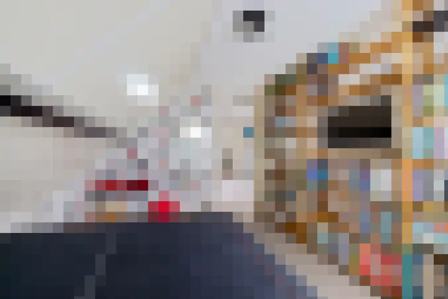 Ds Dijkstraweg 14 Hitzum thumbnail 32