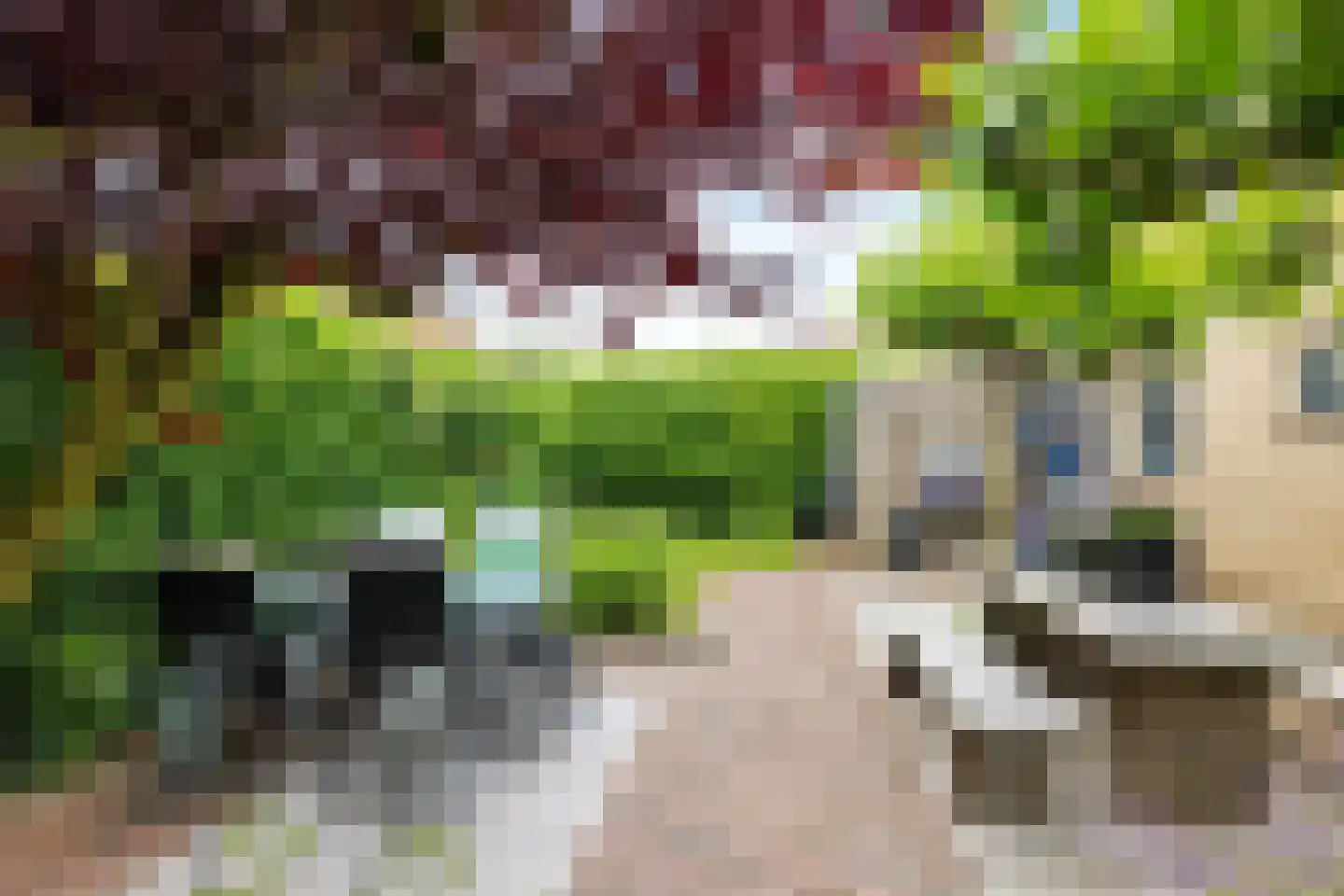 Ds Dijkstraweg 14 Hitzum thumbnail 35