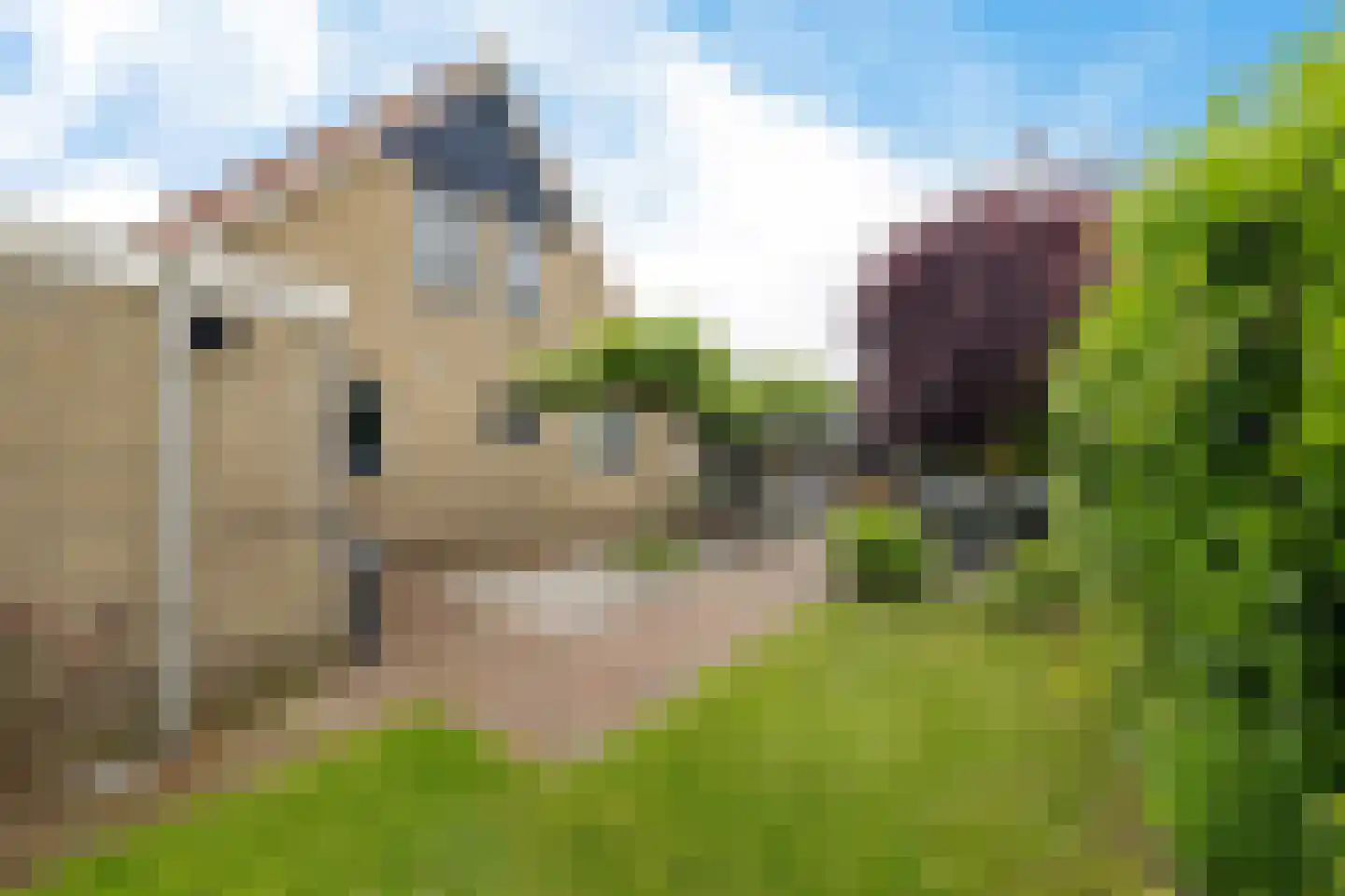 Ds Dijkstraweg 14 Hitzum thumbnail 36