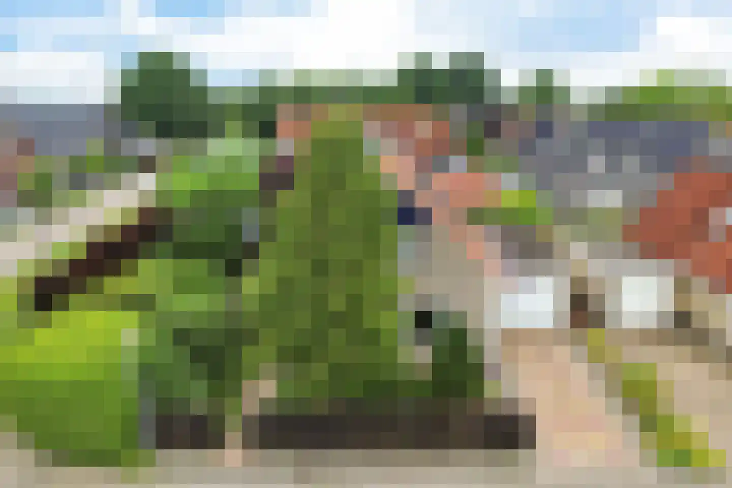 Ds Dijkstraweg 14 Hitzum thumbnail 37