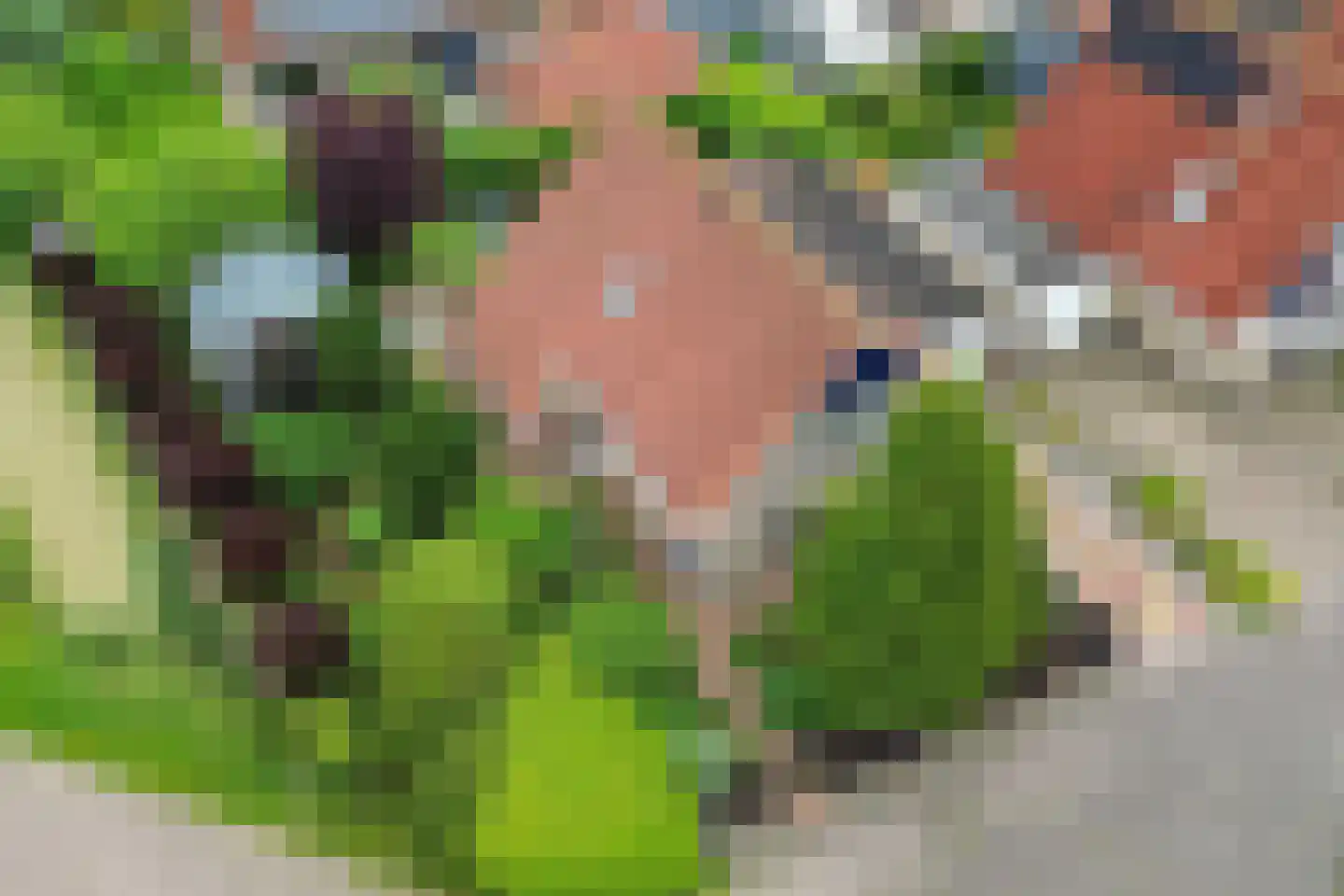Ds Dijkstraweg 14 Hitzum thumbnail 4