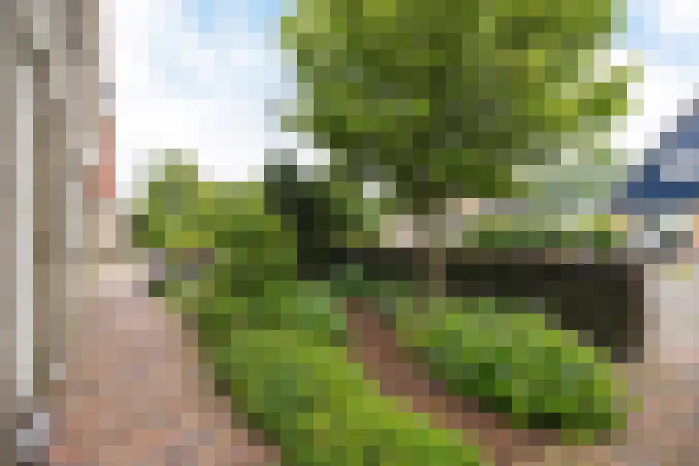 Ds Dijkstraweg 14 Hitzum thumbnail 7