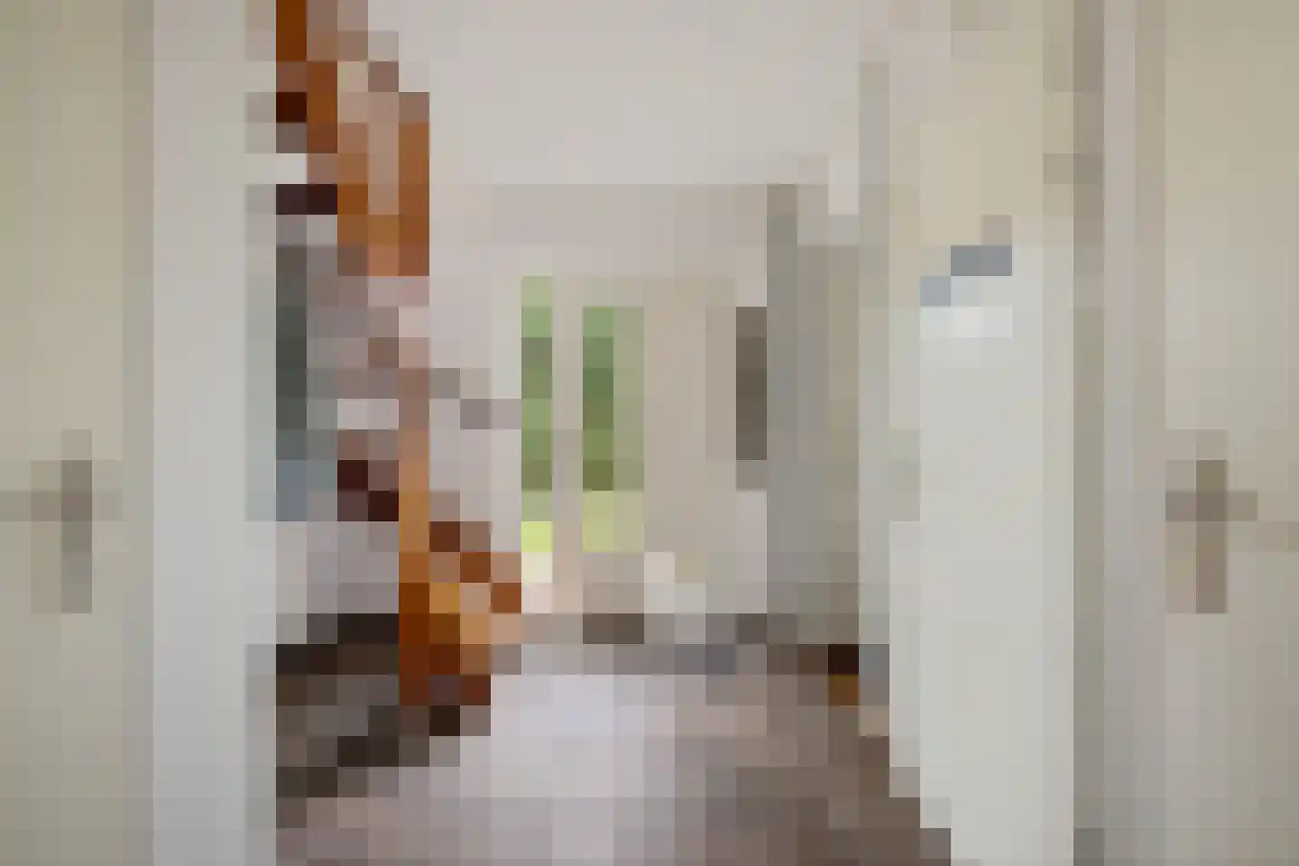 Ds Dijkstraweg 14 Hitzum thumbnail 9