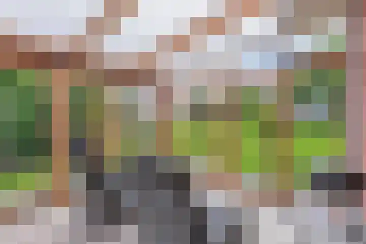 Ds Dijkstraweg 32 Hitzum thumbnail 13
