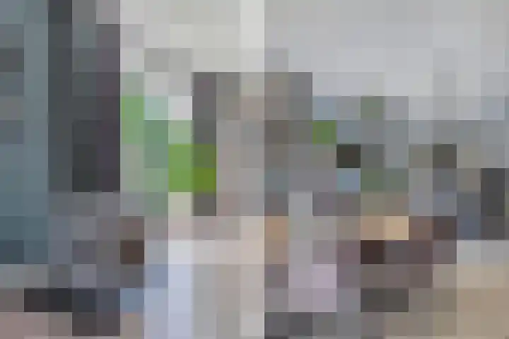 Ds Dijkstraweg 32 Hitzum thumbnail 17