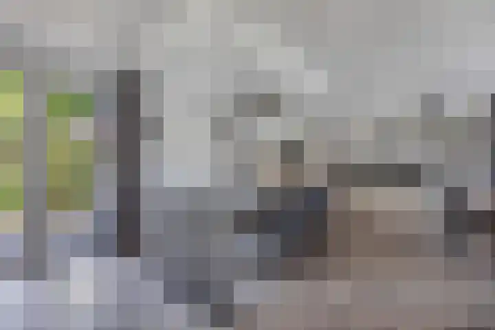 Ds Dijkstraweg 32 Hitzum thumbnail 18