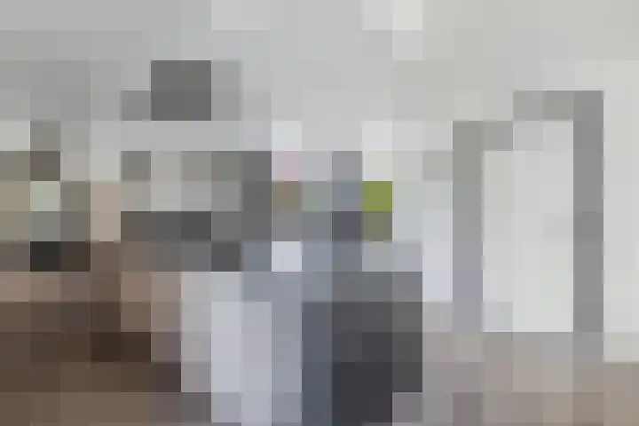 Ds Dijkstraweg 32 Hitzum thumbnail 19