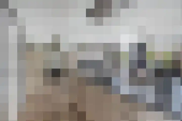 Ds Dijkstraweg 32 Hitzum thumbnail 20