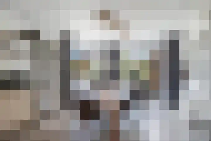 Ds Dijkstraweg 32 Hitzum thumbnail 22