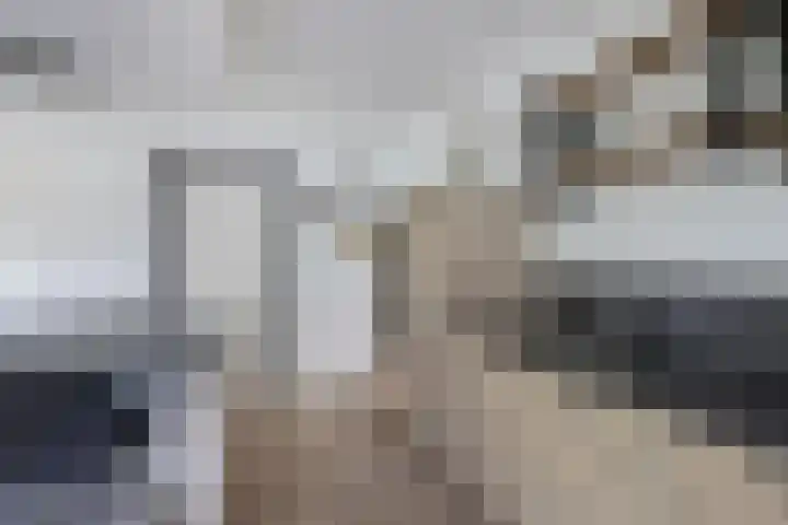 Ds Dijkstraweg 32 Hitzum thumbnail 26