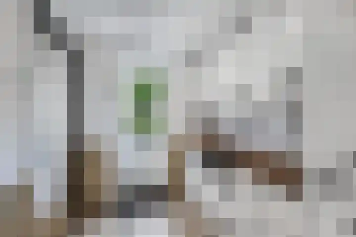 Ds Dijkstraweg 32 Hitzum thumbnail 27