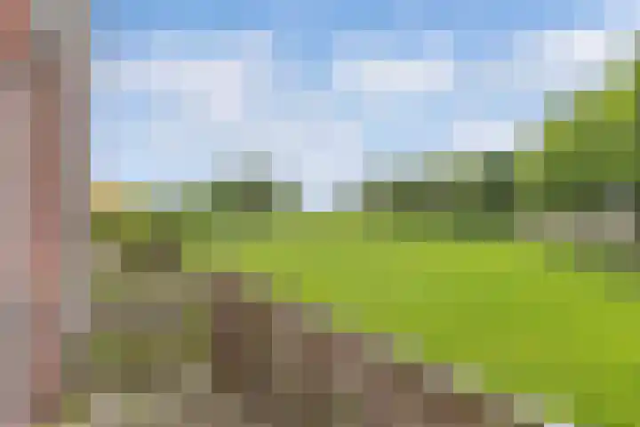 Ds Dijkstraweg 32 Hitzum thumbnail 31