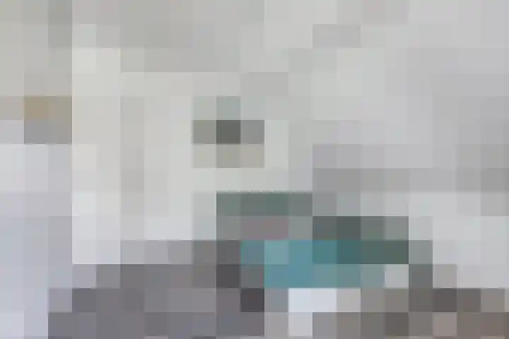 Ds Dijkstraweg 32 Hitzum thumbnail 32
