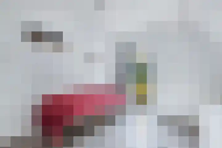 Ds Dijkstraweg 32 Hitzum thumbnail 33