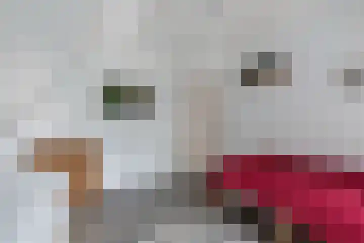 Ds Dijkstraweg 32 Hitzum thumbnail 34