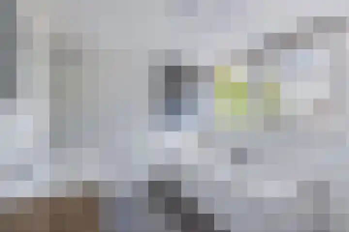 Ds Dijkstraweg 32 Hitzum thumbnail 35