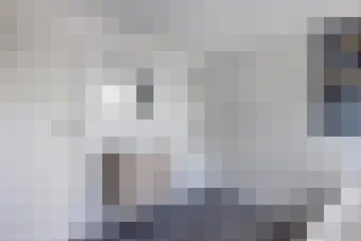 Ds Dijkstraweg 32 Hitzum thumbnail 36