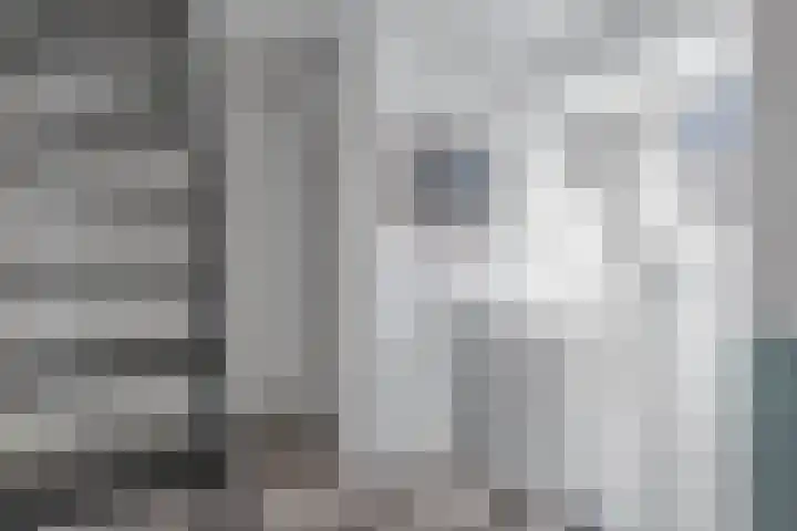 Ds Dijkstraweg 32 Hitzum thumbnail 39