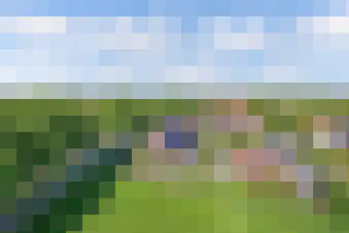Ds Dijkstraweg 32 Hitzum thumbnail 4
