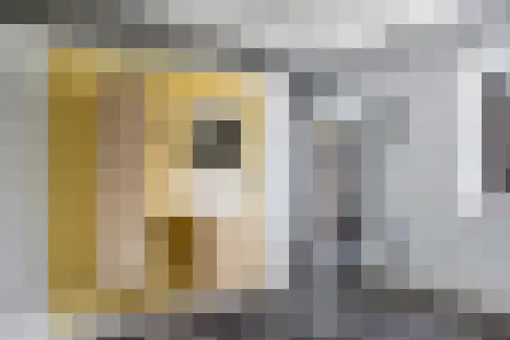 Ds Dijkstraweg 32 Hitzum thumbnail 42