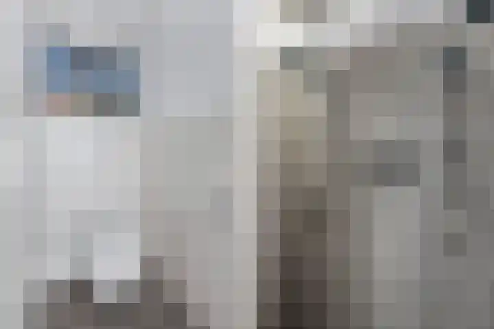 Ds Dijkstraweg 32 Hitzum thumbnail 45
