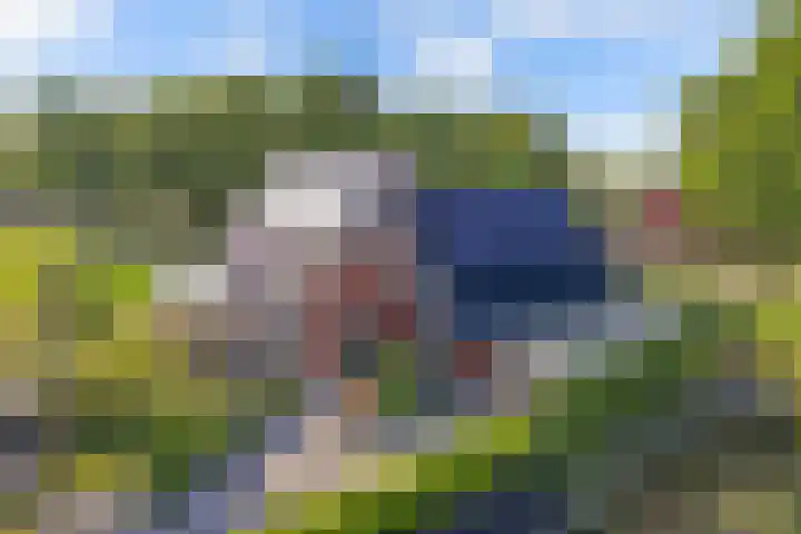 Ds Dijkstraweg 32 Hitzum thumbnail 5
