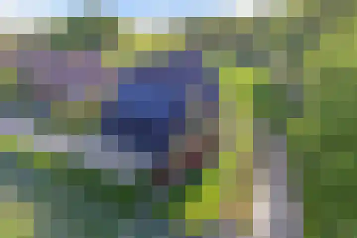 Ds Dijkstraweg 32 Hitzum thumbnail 51