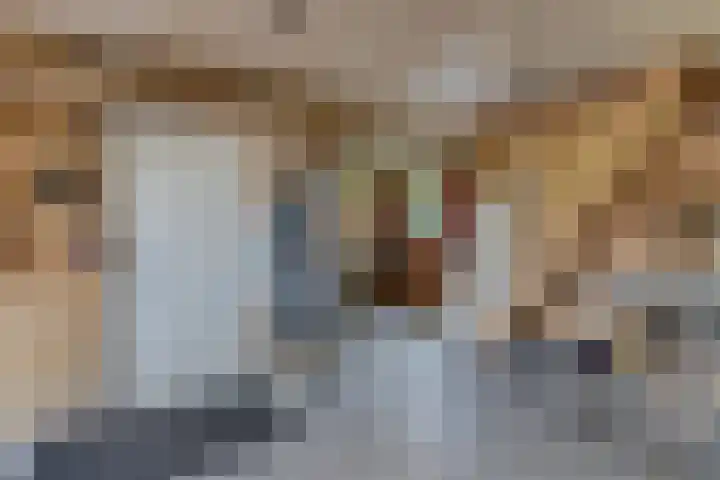 Ds Dijkstraweg 32 Hitzum thumbnail 52