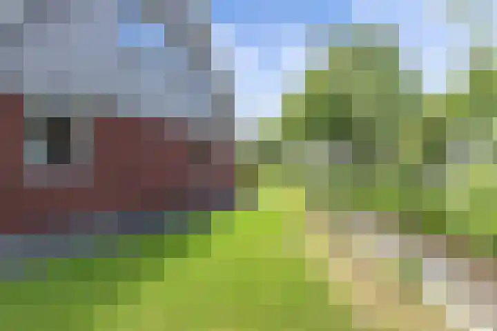 Ds Dijkstraweg 32 Hitzum thumbnail 58
