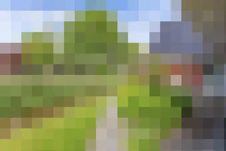 Ds Dijkstraweg 32 Hitzum thumbnail 59