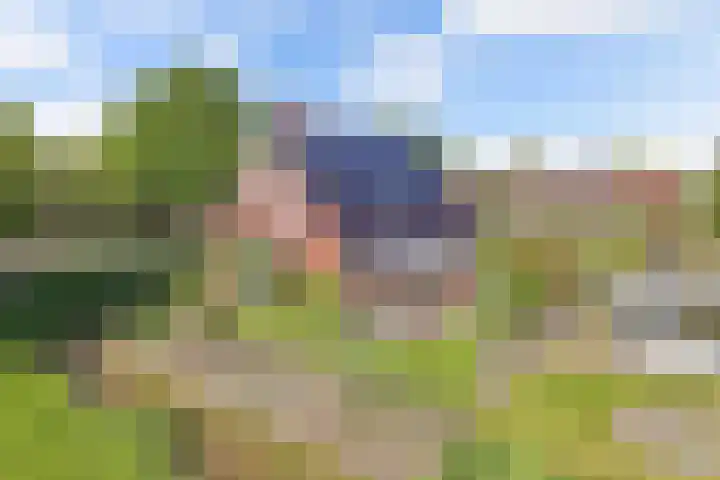 Ds Dijkstraweg 32 Hitzum thumbnail 63