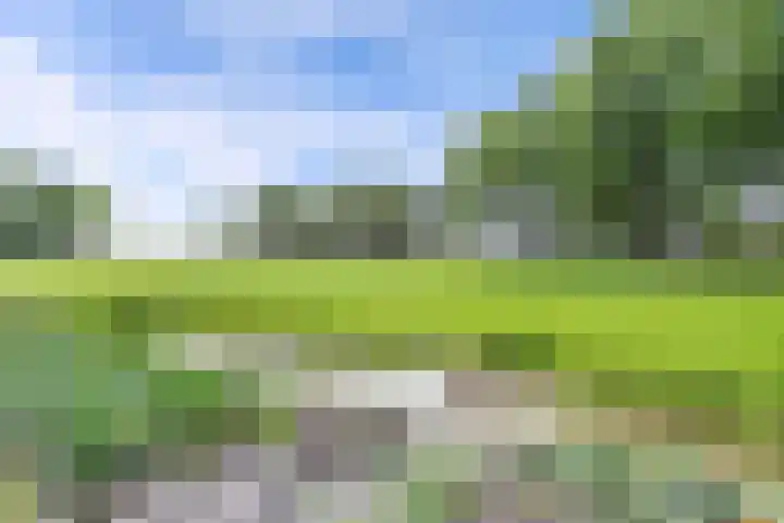 Ds Dijkstraweg 32 Hitzum thumbnail 65